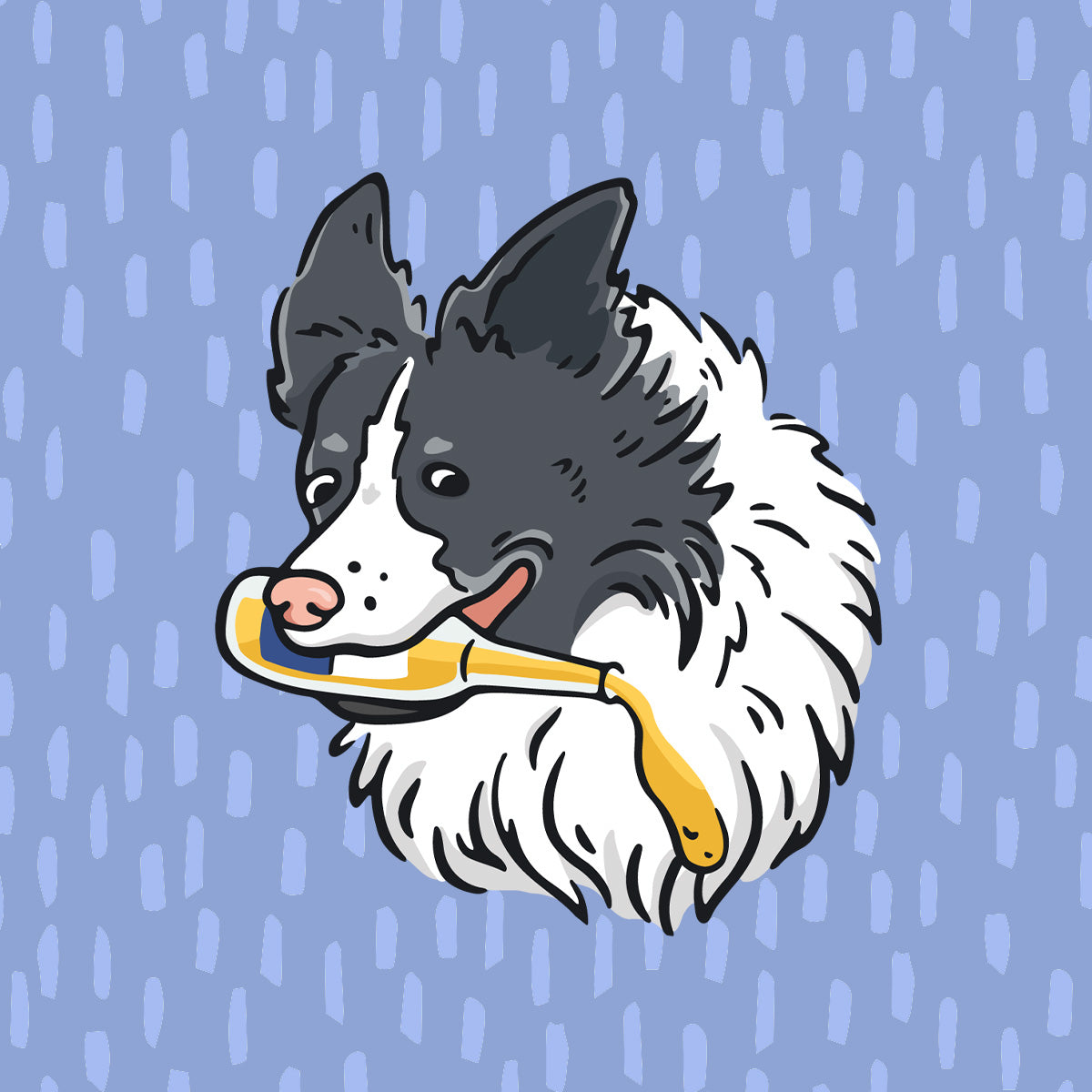Collies & Coldies